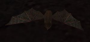 Bat.jpg