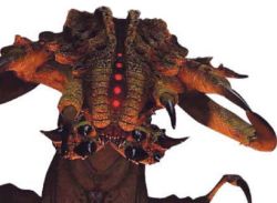 Queenbug.jpg