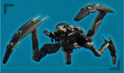 Scoutwalker.jpg