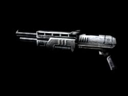 Shotty.jpg