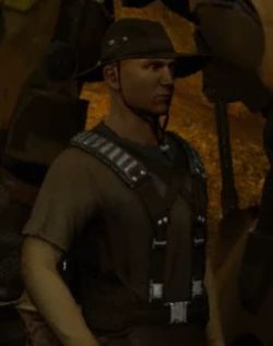 Kite.jpg